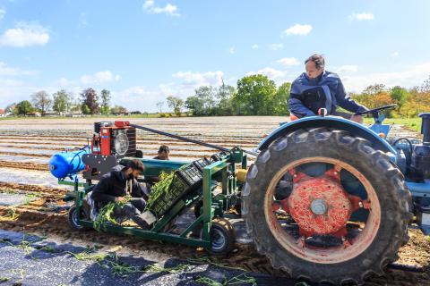 tractor