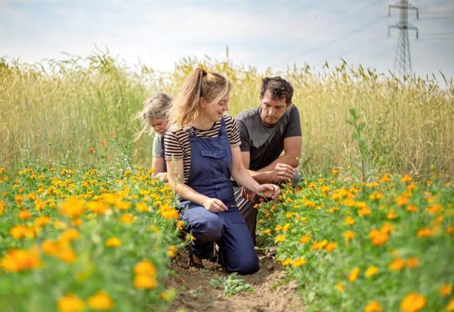 bioboeren