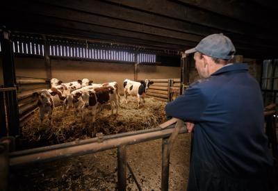 ""